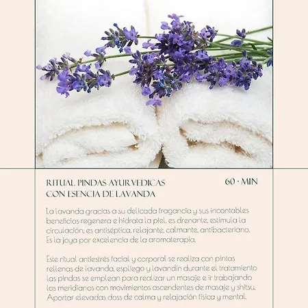 Cisnes Palace Apartamento